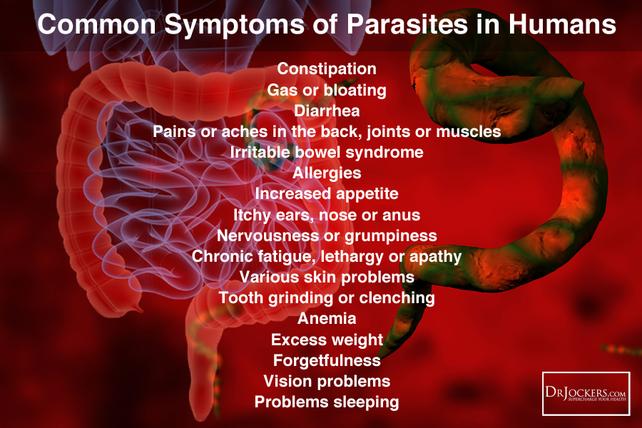 got-parasites-humbleweed